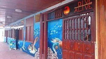 Отель Sea Hostel Dive Alive Лос Кристианос